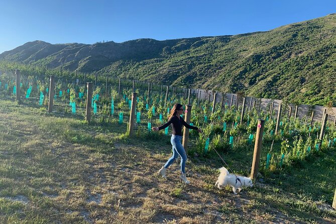 Private Dog Friendly Wine Tour with your Local Guide - Key points to know before booking