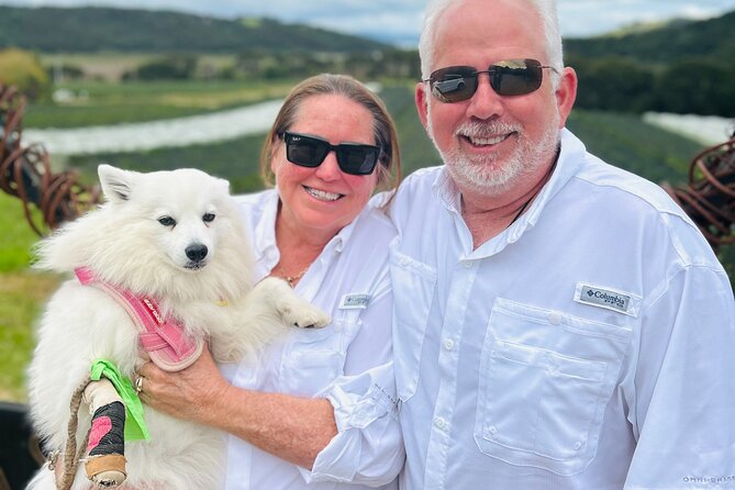 Private Dog Friendly Wine Tour with your Local Guide - What the $341.32 group price really buys you