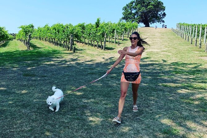 Private Dog Friendly Wine Tour with your Local Guide - Oneroa village starts the day at an easy pace