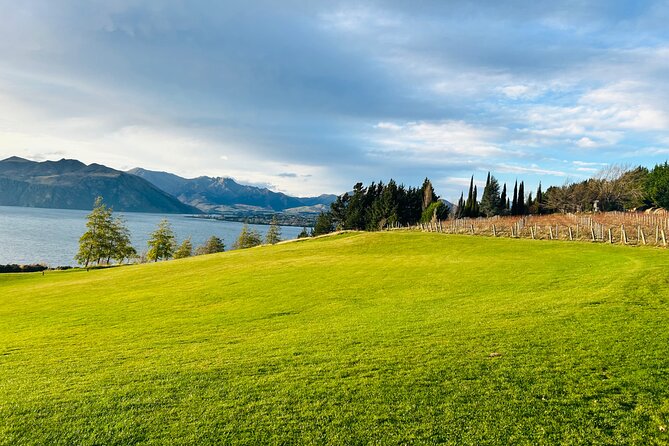 Private Driver Hire – Full-Day Touring-Auckland/Rotorua/Hamilton - Why a private driver makes sense in New Zealand