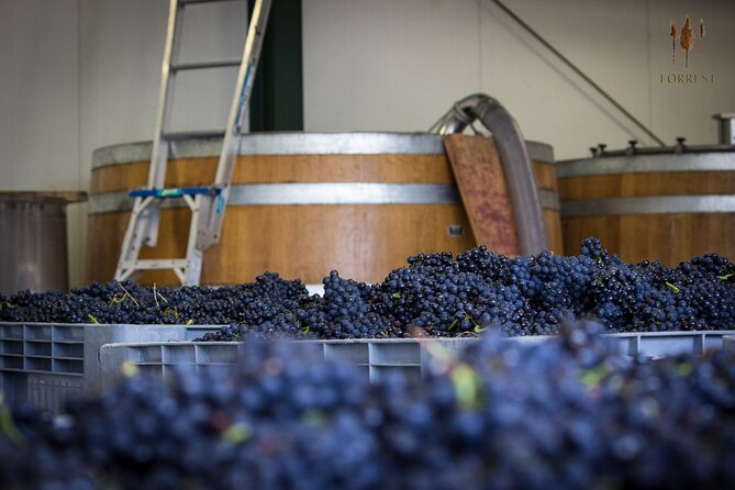 Private Driving Wine Tour (full day) in the Marlborough Region - The winery route: expect variety, not a fixed checklist