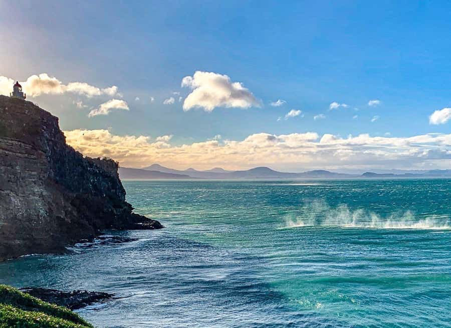 Private Dunedin City Highlights and Otago Peninsula Day Tour - City architecture in two quick stops