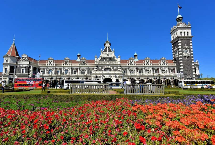 Private Dunedin City Highlights and Otago Peninsula Day Tour - Albatross country at the end of the peninsula
