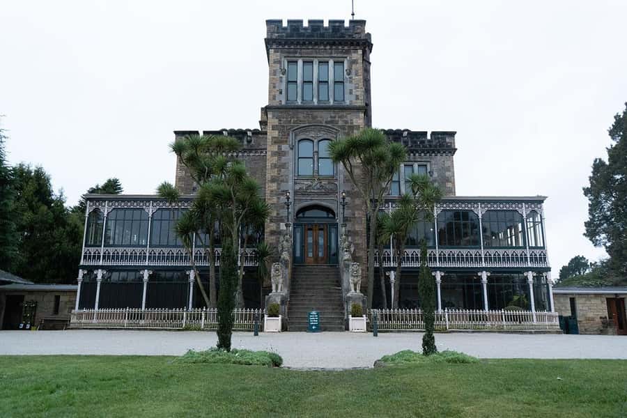 Private Dunedin City Highlights and Otago Peninsula Day Tour - What the private vehicle changes