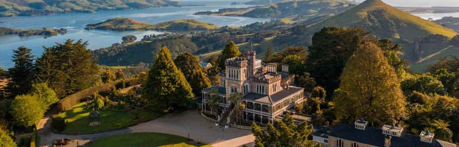 Private Dunedin City Highlights and Otago Peninsula Day Tour - Price, extras, and practical value