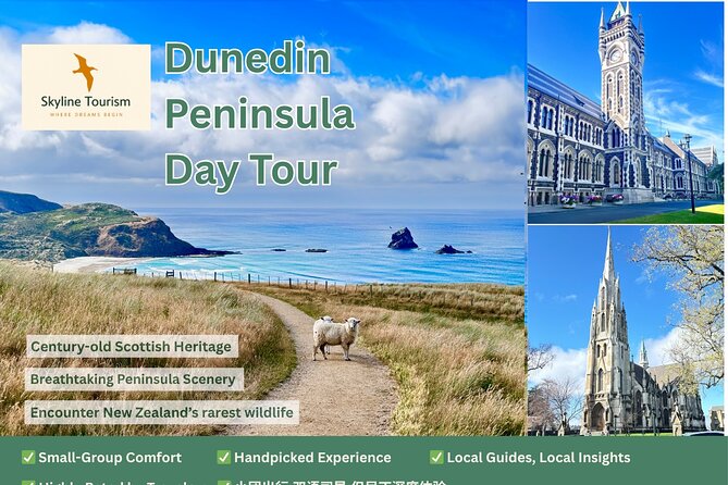 Private Dunedin & Otago Peninsula Day Tour Up to 4 - Signal Hill gives you the useful first view