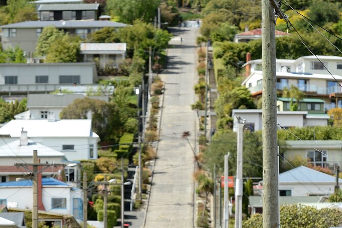 Private Dunedin & Otago Peninsula Day Tour Up to 4 - Otago University adds a historic city center stop