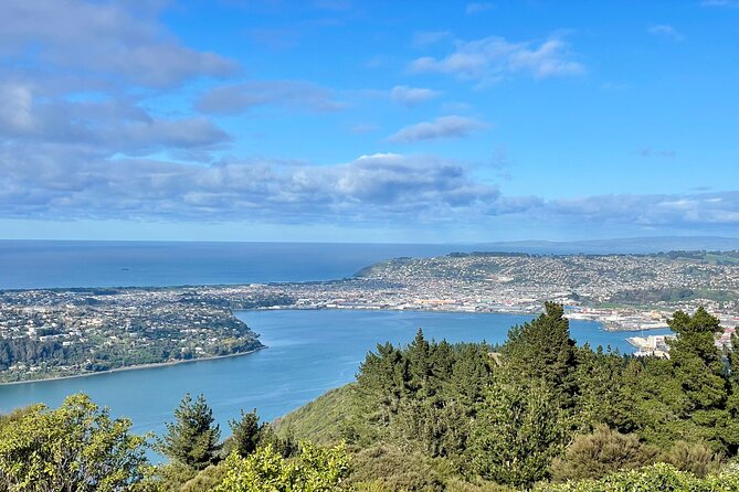 Private Dunedin & Otago Peninsula Day Tour Up to 4 - Baldwin Street turns a city grid into a comic sight