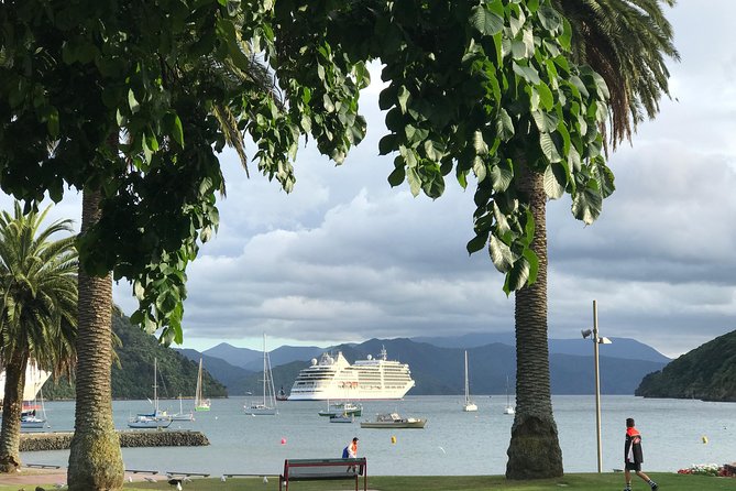 Private Excursion: Scenic and Seascape Delights from Picton - Pamela’s guiding style and the importance of clear timing