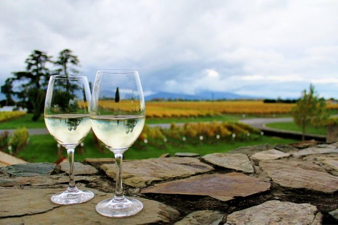 Private Excursion: Scenic and Seascape Delights from Picton - The Vines Village starts the day with local tastes