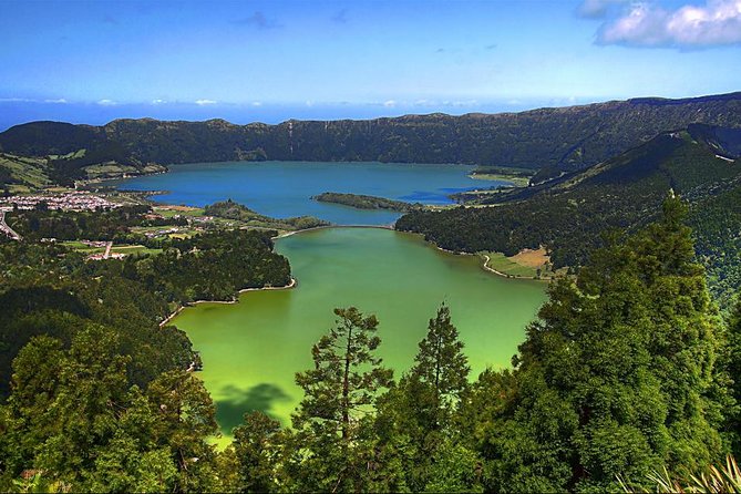 Private Full-Day Rotorua Tour from Auckland - Why this Auckland to Rotorua day trip works