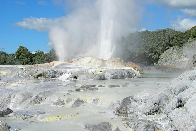 Private Full-Day Rotorua Tour from Auckland - Te Puia: Māori culture beside steaming ground