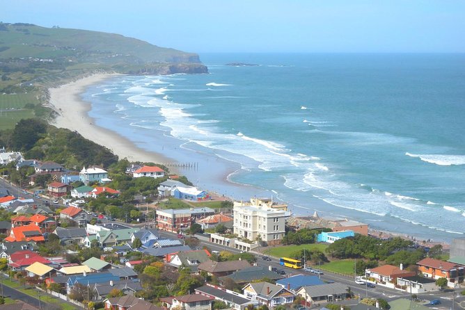 Private Guided Tour of Dunedin City Heritage and Unique Wildlife and Scenery - Key points before you book