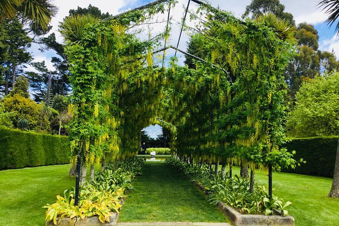 Private Guided Tour of Dunedin City Heritage and Unique Wildlife and Scenery - University of Otago and Dunedin’s grand buildings
