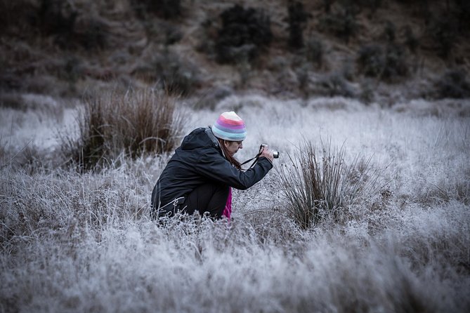 Private Half Day Photography Tour of Queenstown | Skippers | Glenorchy - Why this photo tour works well in Queenstown