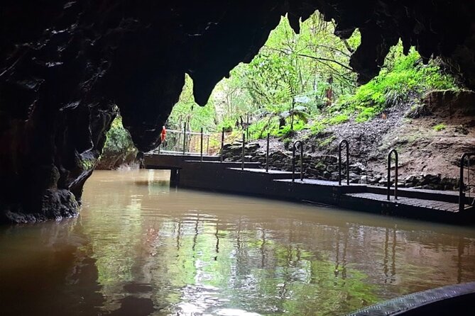 Private Hobbiton & Blue Springs Day Trip from Auckland - Who should book this trip