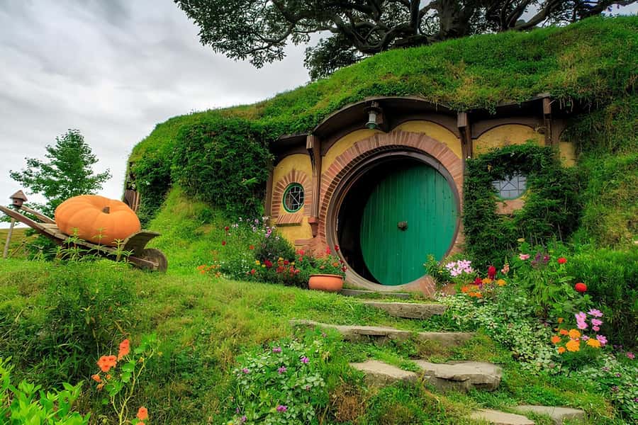 Private Hobbiton & BlueSprings & Redwood forest fromAuckland - Key points at a glance