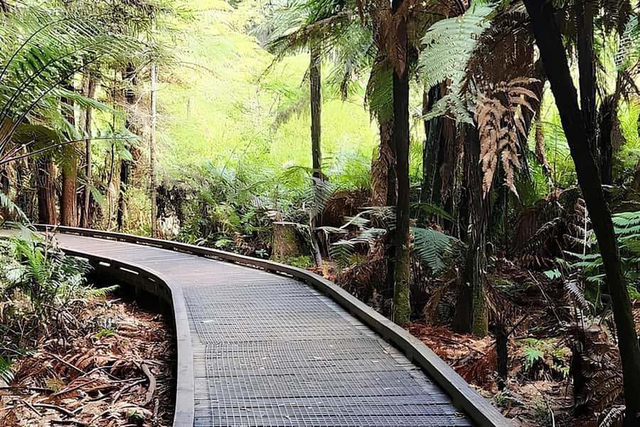 Private Hobbiton & BlueSprings & Redwood forest fromAuckland - The Blue Springs question