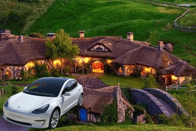 Private Hobbiton & Waitomo Caves Transfer from Auckland - Waitomo Glowworm Caves: a very different kind of visit