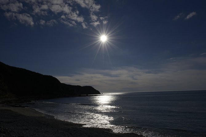 Private Kapiti Coast Full Day Tour - Paraparaumu and Raumati keep the beaches in the plan