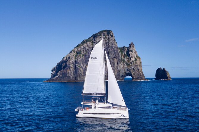 Private Luxury Sailing Catamaran Charter in the Bay of Islands - Wildlife, fishing, and the luck of the day
