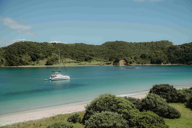 Private Luxury Sailing Catamaran Charter in the Bay of Islands - Paddleboards, snorkeling, and the Sea Biscuit