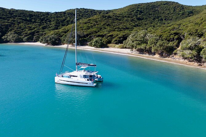 Private Luxury Sailing Catamaran Charter in the Bay of Islands - Weather, pickup, and practical details