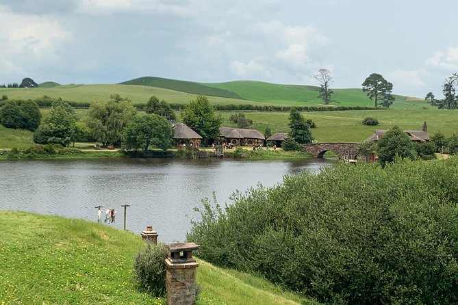 Private Luxury Tour to Hobbiton Movie Set & Waitimo Glowworm Cave - Who will enjoy this Auckland day trip?
