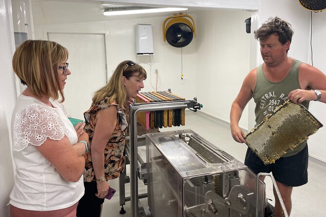 Private Martinborough Foodie Delights Tour from Wellington - A food-first day beyond Wellington
