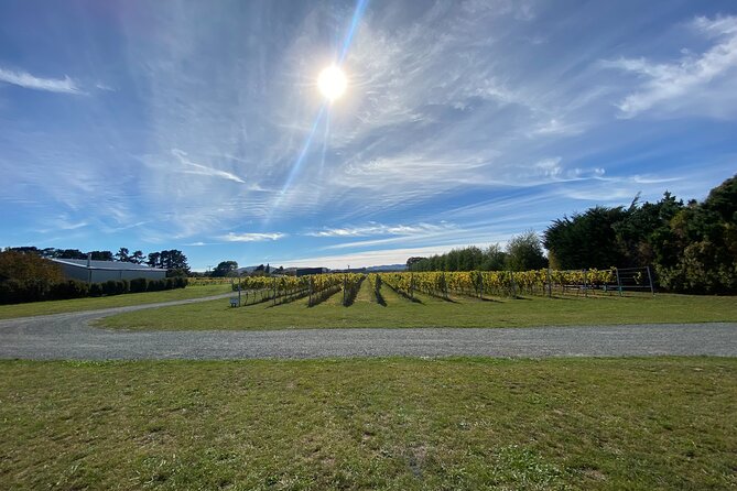 Private Martinborough Wine Tour for Wine Enthusiasts - What the NZ$217.20 price covers