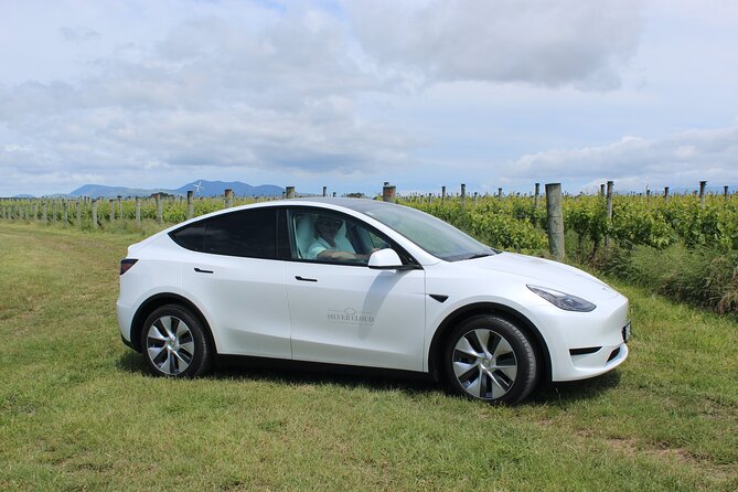 Private Martinborough Wine Tour in an Electric Vehicle - Tesla Model Y - Why this private Wellington wine tour works