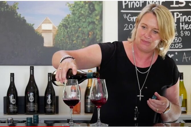 Private Martinborough Wine Tour in an Electric Vehicle - Tesla Model Y - Palliser Estate and a private tasting