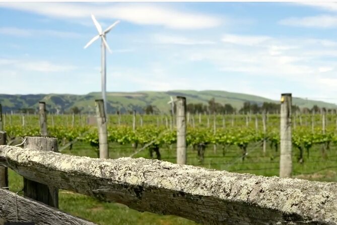 Private Martinborough Wine Tour in an Electric Vehicle - Tesla Model Y - Two courses and wine at The Runholder