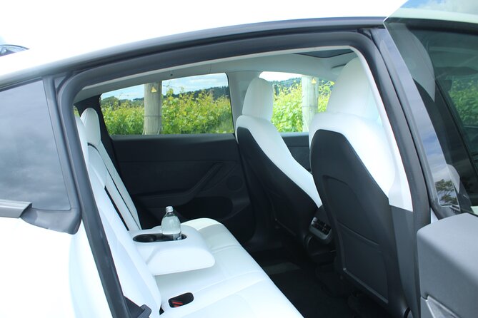 Private Martinborough Wine Tour in an Electric Vehicle - Tesla Model Y - Rimutaka Summit and the return to Wellington