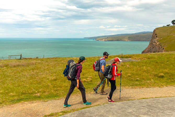 Private Mt Cook Day Tour From Christchurch via Lake Tekapo - Lake Tekapo in just 15 minutes