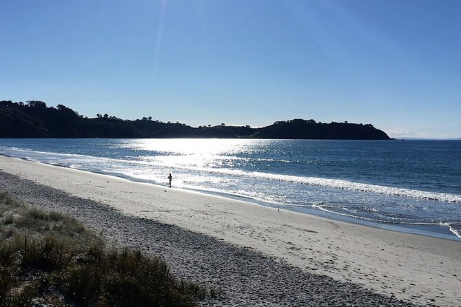 Private Personalised Tour in Waiheke Island - Waiheke’s beaches and city views
