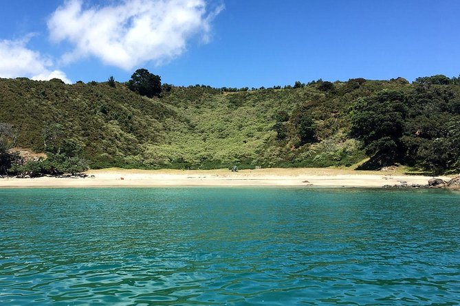 Private Personalised Tour in Waiheke Island - The $527.49 price and what it covers