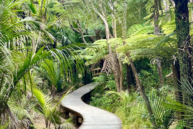 Private Piha Beach, Rainforest Adventure & Mt. Eden with Guide - From Auckland to the Waitākere ranges