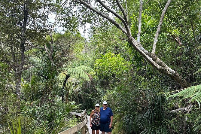 Private Piha Beach, Rainforest Adventure & Mt. Eden with Guide - Piha Beach, black sand, and Lion Rock