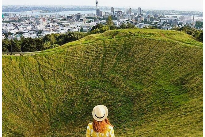 Private Piha Beach, Rainforest Adventure & Mt. Eden with Guide - Kitekite Falls and the Waitākere rainforest