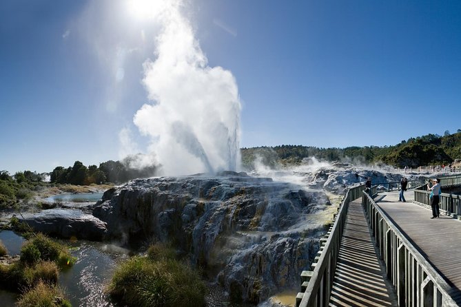 Private Rotorua Tour from Tauranga (Max 11) - Key points to know before booking