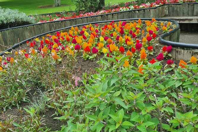 Private Rotorua Tour from Tauranga (Max 11) - Government Gardens and Rotorua’s center