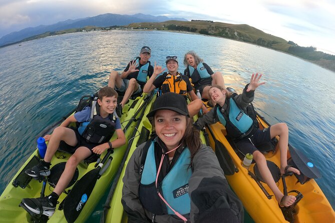 Private Seal Kayaking and Wildlife Tour in Kaikoura - Seeing the Peninsula Walkway From the Water