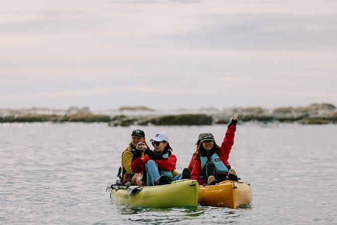 Private Seal Kayaking and Wildlife Tour in Kaikoura - Sunset, Seabirds, and the Changing Light
