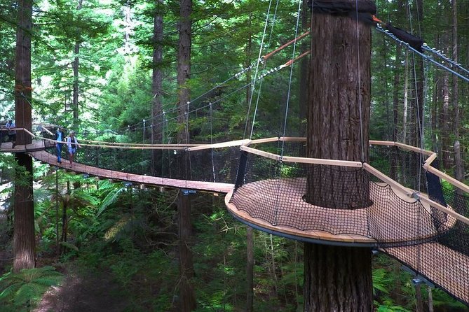 Private Tauranga Day Trip-Rotorua Geysers & Canopy Tree Walk. - Key Things To Know Before You Go