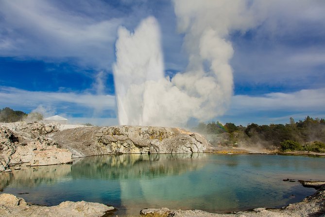 Private Tauranga Day Trip-Rotorua Geysers & Canopy Tree Walk. - Who Will Enjoy This Most?