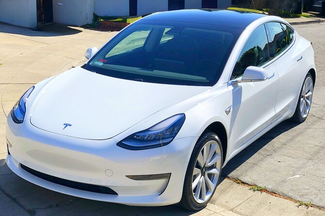 Private Tesla Transfer: Auckland, Tauranga, Rotorua, Taupo - A quiet alternative to changing buses