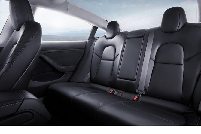 Private Tesla Transfer: Auckland, Tauranga, Rotorua, Taupo - Auckland to Hamilton for a direct city transfer