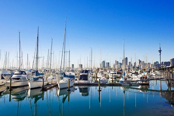 Private Tour: Auckland City and Countryside Tour - Beaches, rainforest, waterfalls, and the wider route