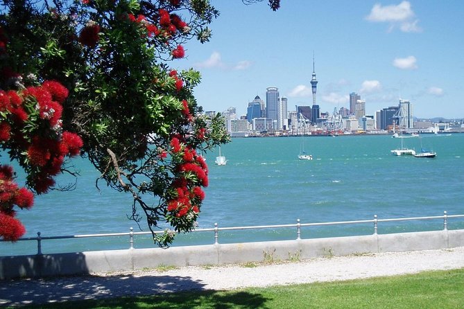 Private Tour: Auckland City and Countryside Tour - What the guides add, and where the experience can wobble